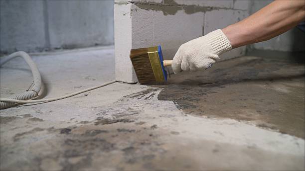 SJ Waterproofing Pros Basement Waterproofing coverage map for Saint Clair Shores, MI and surrounding area